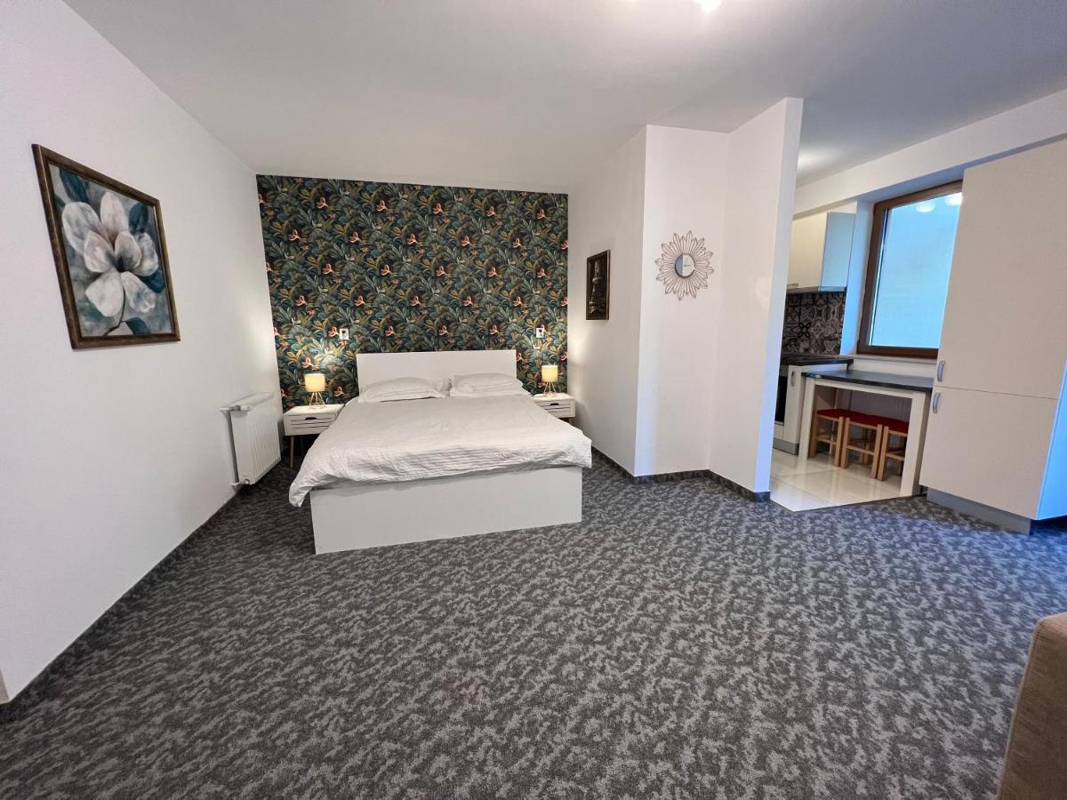 Coroni Studio With Jacuzzi Braşov Dış mekan fotoğraf